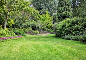 Optimiser l'expérience du jardin à Fontaine-la-Louvet